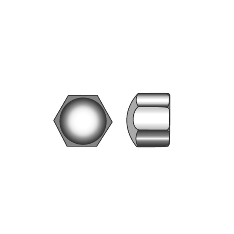 Hexagon Cap Nuts