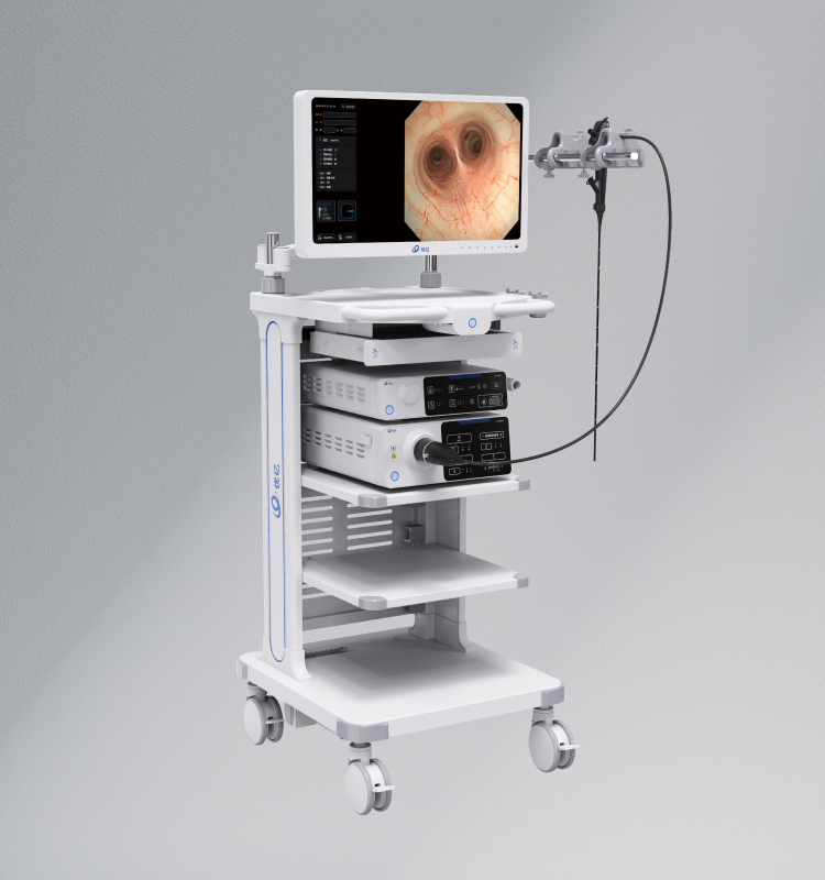 Full HD Endoscopy System